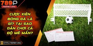 Cược xiên bóng đá là gì? Tại sao dân chơi cá độ mê mẩn?